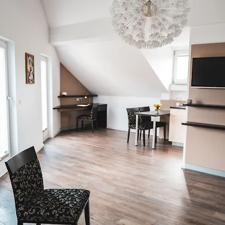 Hotel-restaurant Zur Post 4* 波恩